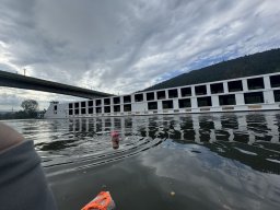 Mainschwimmen Juni 2026